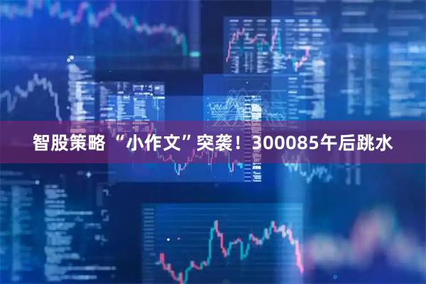 智股策略 “小作文”突袭!300085午后跳水