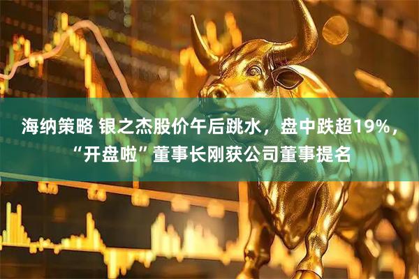 海纳策略 银之杰股价午后跳水，盘中跌超19%，“开盘啦”董事长刚获公司董事提名