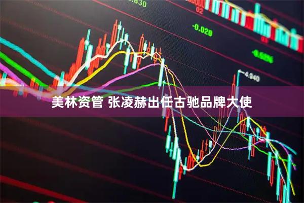 美林资管 张凌赫出任古驰品牌大使